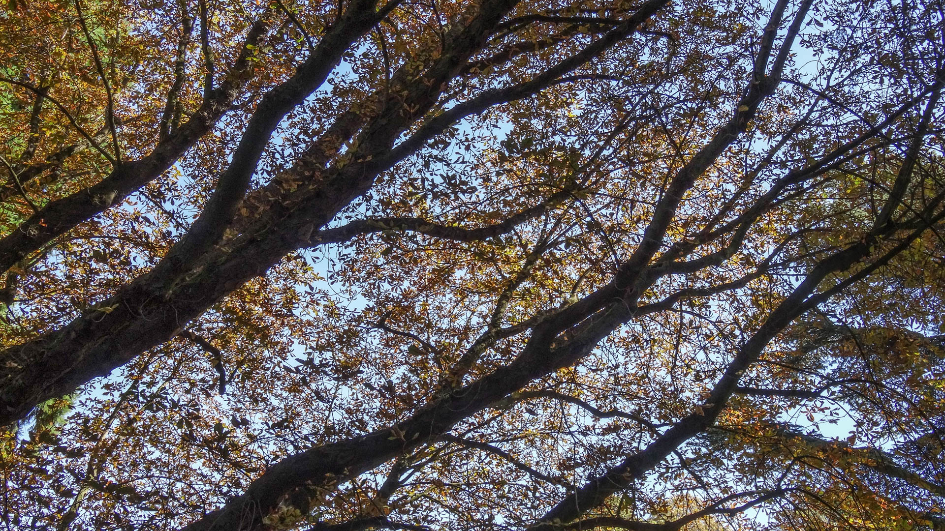 2013-09-04 13-33-31 BP